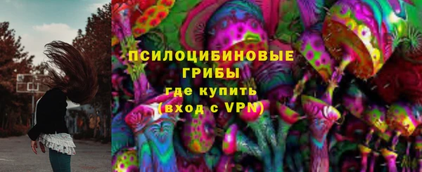 прущая мука Верея